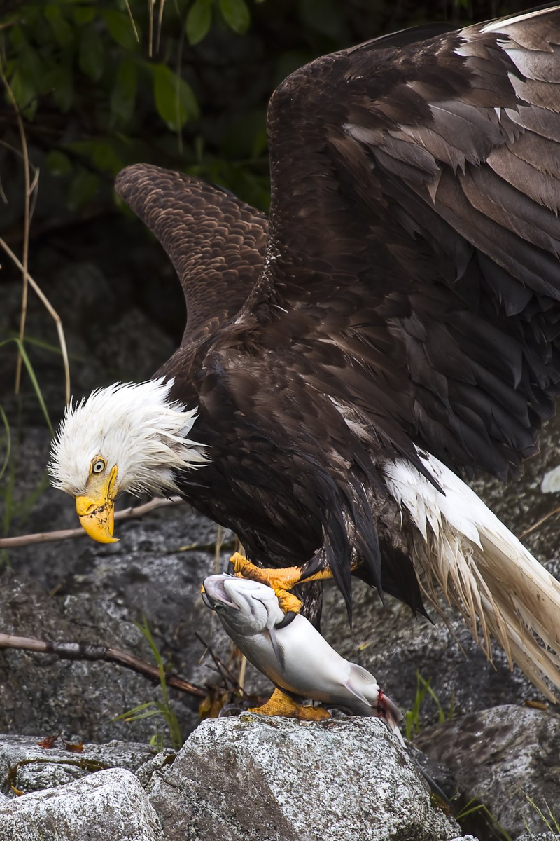 Illustration for article titled These Electrifying Photos Celebrate 50 Years Of USA's Wilderness Act